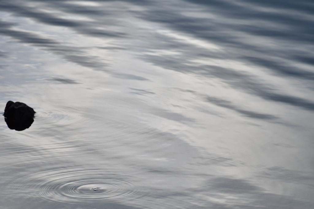 2018-12-29 Hohenschwangau/DSC_8739.JPG